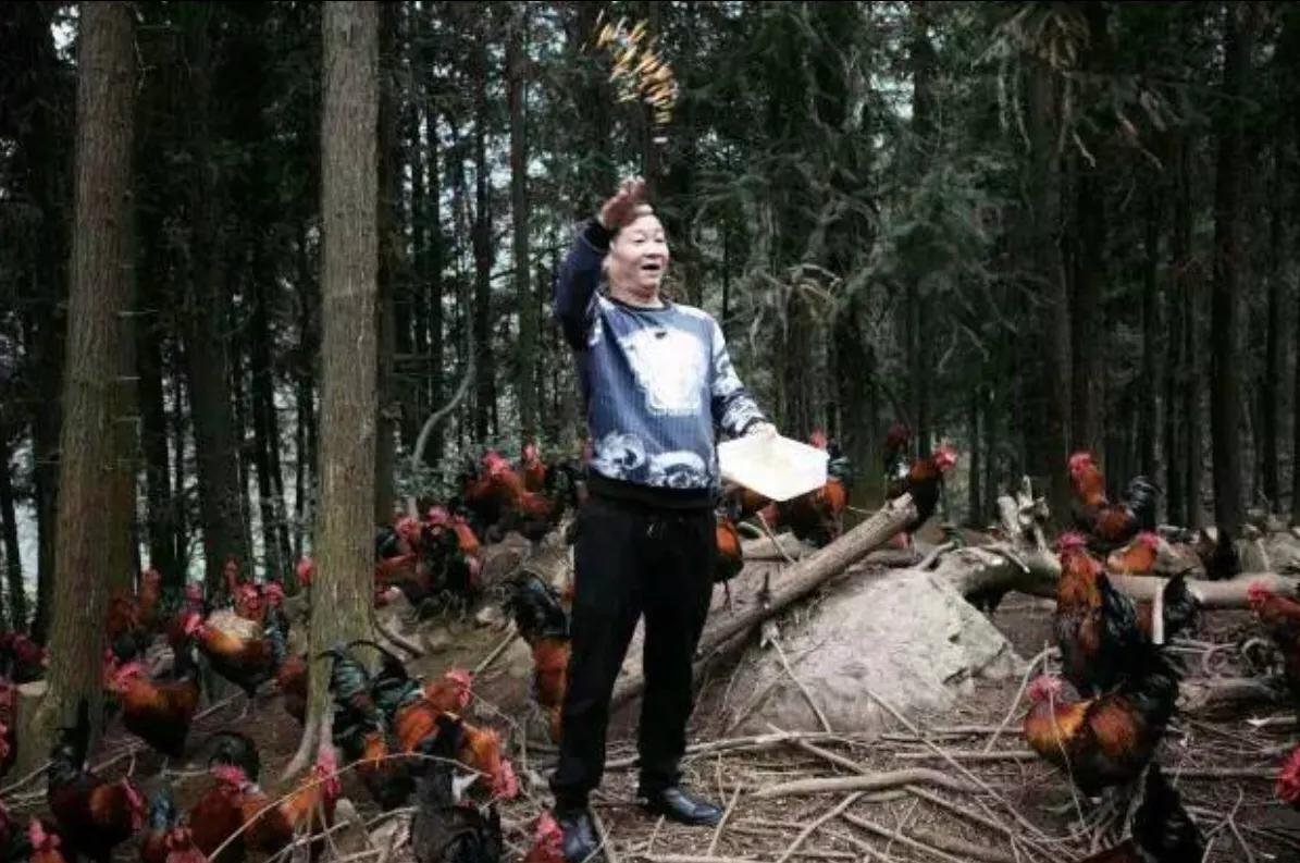 四大丑男演员娶四大美女,最丑男演员娶漂亮老婆