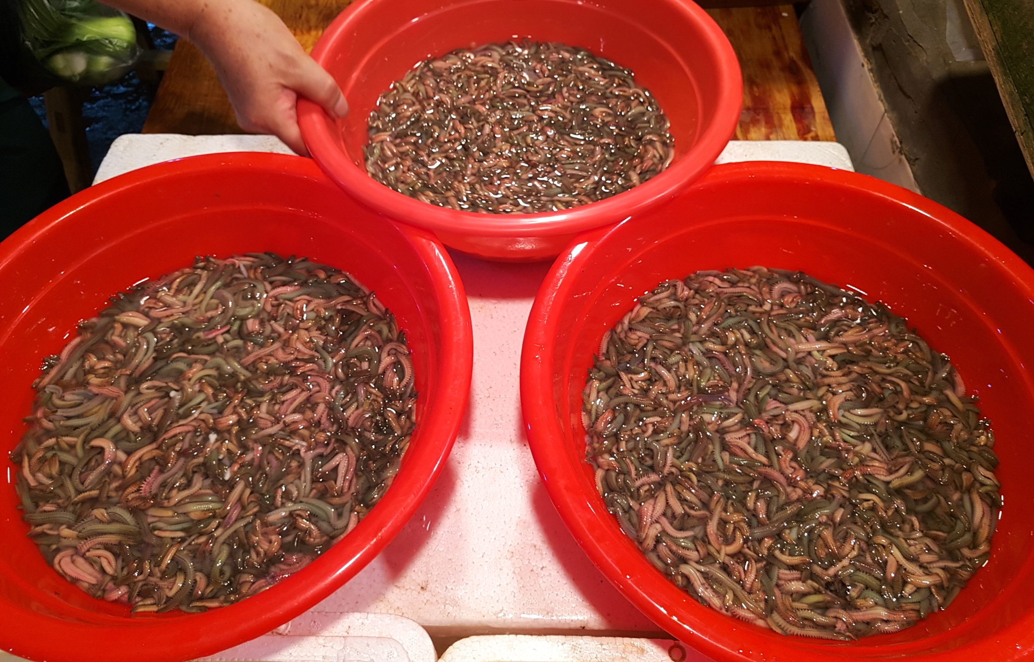 福建最有名的十大恐怖小吃,首次揭秘福建恐怖小吃