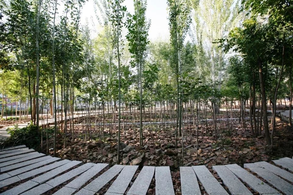 荒漠的城市,城市的喧嚣沙漠的宁静