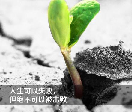 励志语录图片带字霸气十足,好看的励志图片带字正能量