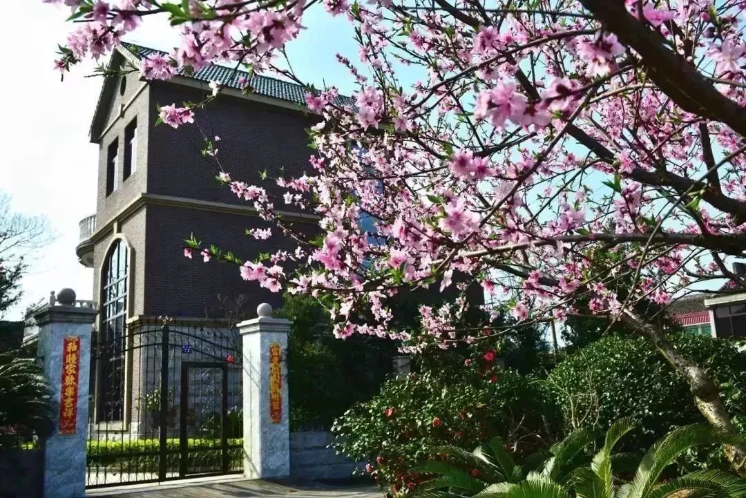 北仑旅游攻略大全集,北仑旅游攻略