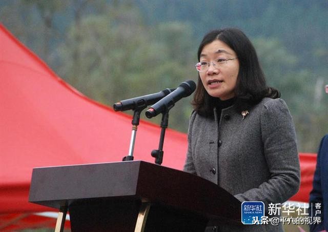 广西贺州中华杯足球赛,广西梧州全国青少年足球比赛