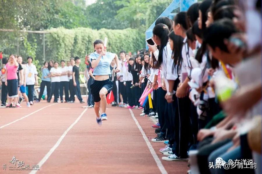 鱼在洋简介,鱼在洋原创动画