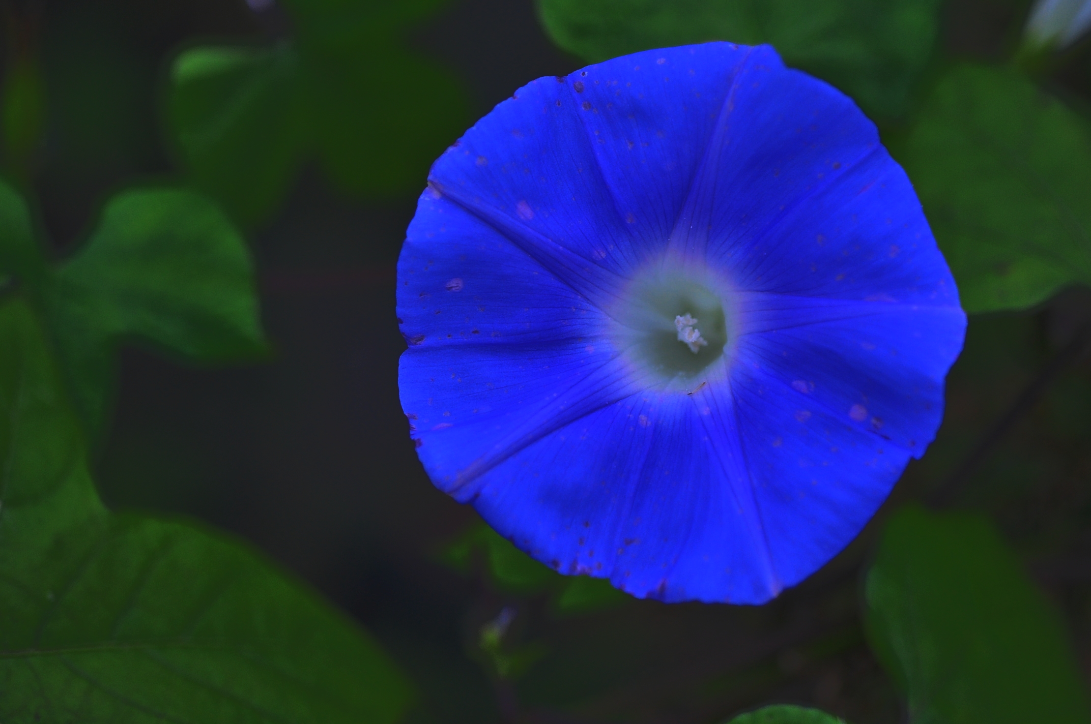 我的情结图片大全,我的思乡情结