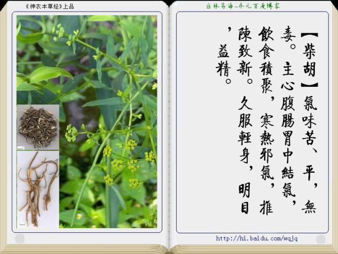 本草纲目中药讲解视频,本草纲目中药图谱及药理讲解