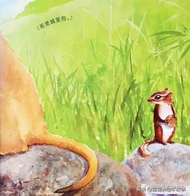 绘本故事有声小熊进城,绘本故事大城市里的小象