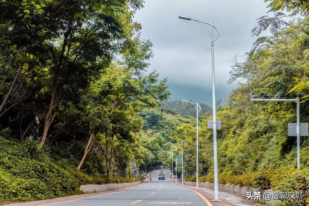 深圳空气中氡含量全国第一,深圳市负氧离子大概是多少