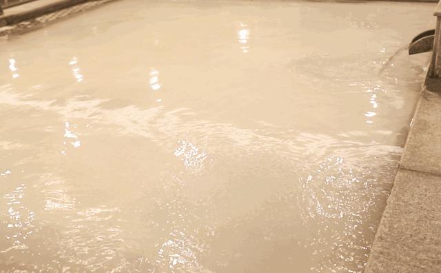 杭州海纳百川浴场中午有自助餐吗,杭州自助汤泉排名