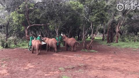 他们被杀之后，依然在爱你