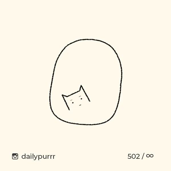 猫是一种液体吗看完长知识了,猫是液体猫咪吗