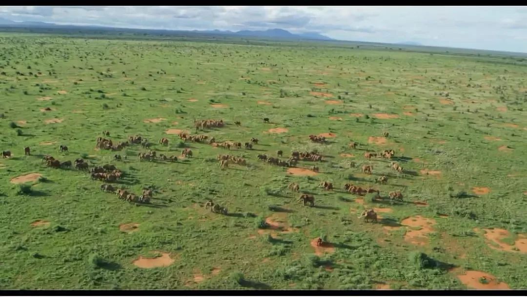 年度最佳女主角范冰冰,颜值与演技力压范冰冰