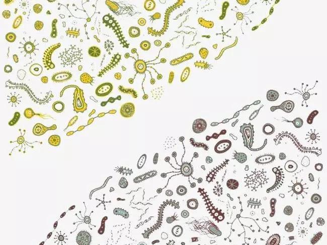 酒的基本知识及答案,酒知识和技巧