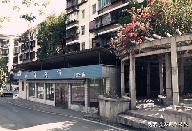 船厂生活区小区,攀枝花渡口船厂小区简介