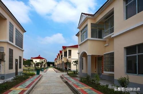 农民住房利弊,农民公寓房的最大利弊分析