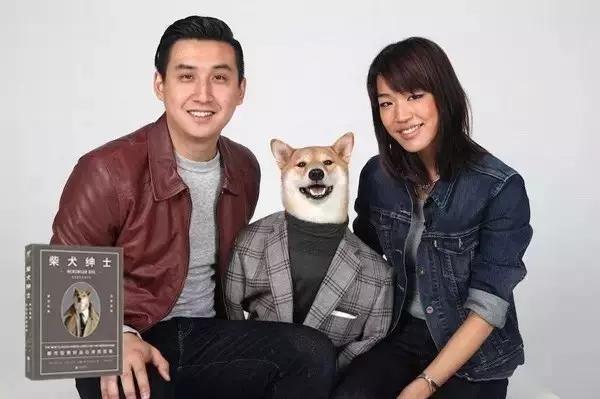 西装犬模丨美国纽约一条月入九万的狗