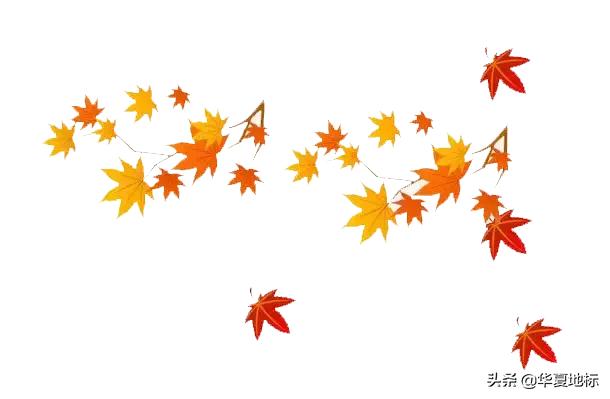 绉嬩箣瀚ｇ劧鐑熻姳鍚戞櫄,绉嬩箣瀚ｇ劧