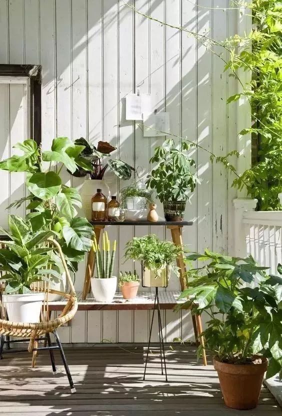 阳台变身小花园总有一款适合你,阳台可以打造成小花园吗