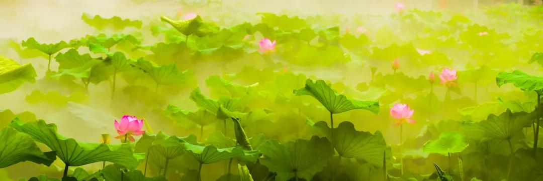 济南必去网红打卡地,济南网红打卡地经三纬三