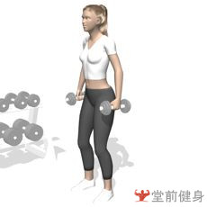 获取一周瘦4斤新手健身计划,初级力量训练计划一周表