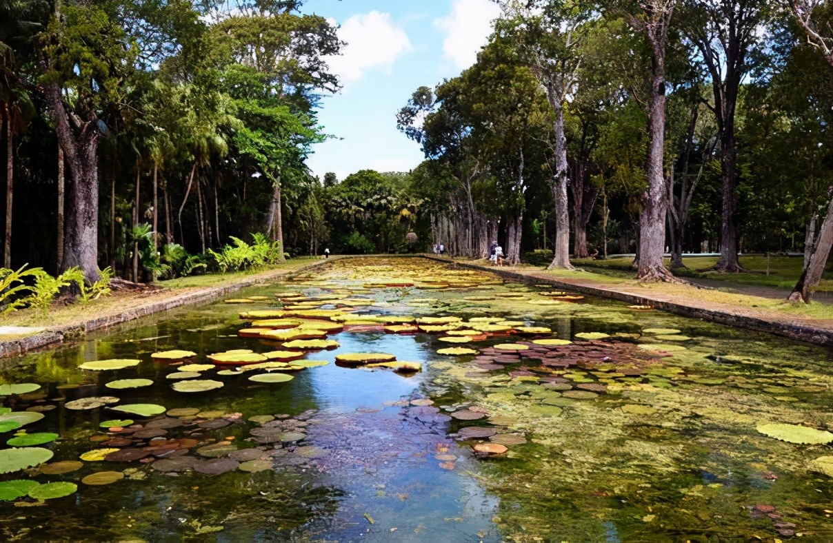 毛里求斯自由行怎么安排,毛里求斯7天攻略