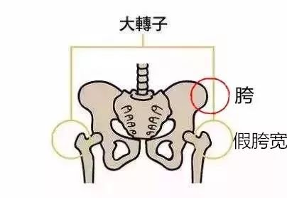 大腿外侧凸起怎么穿搭,大腿内侧两块赘肉穿裤子很难看