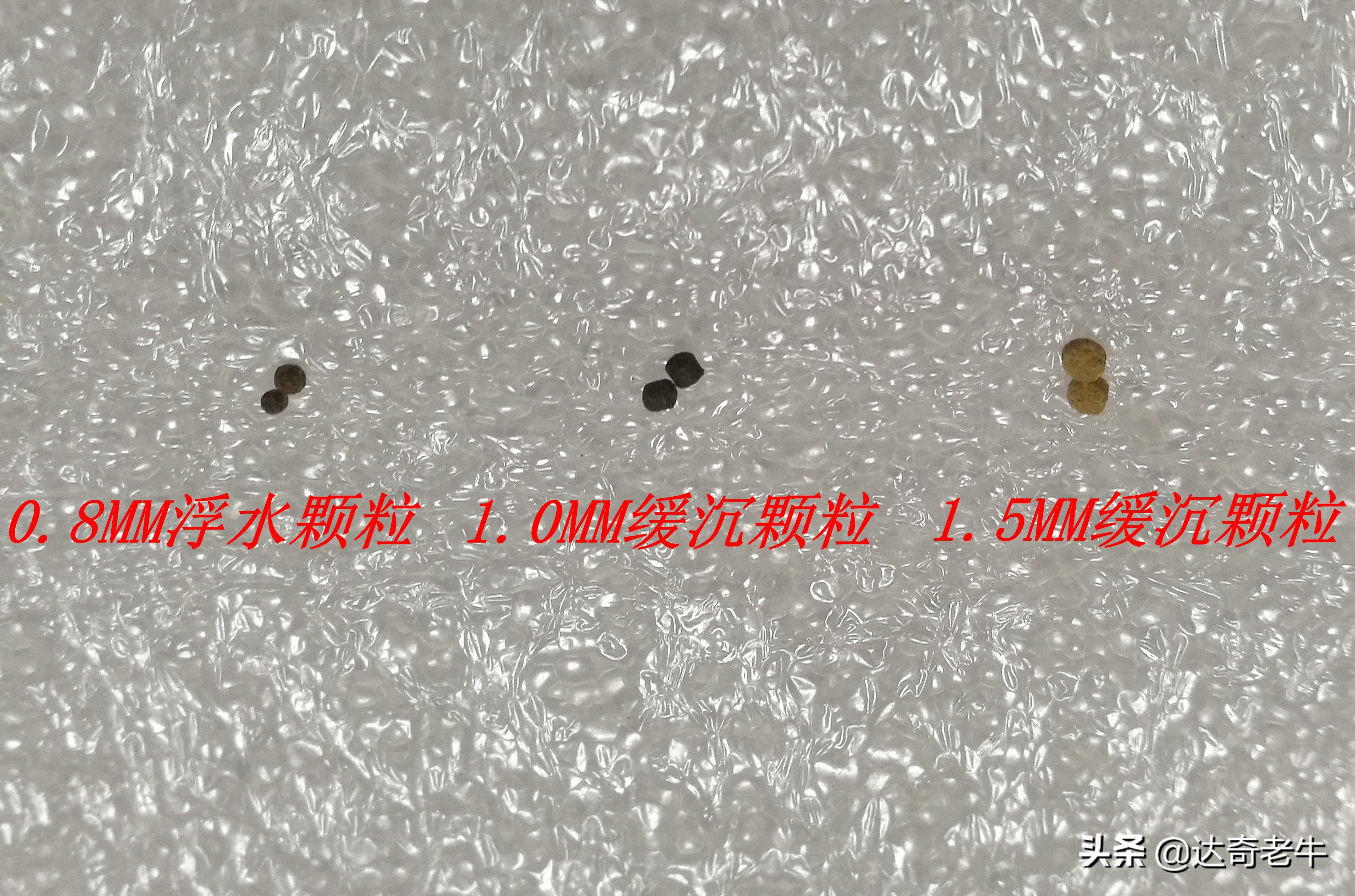 浮水颗粒喂鱼,怎么用浮水颗粒钓滑鱼