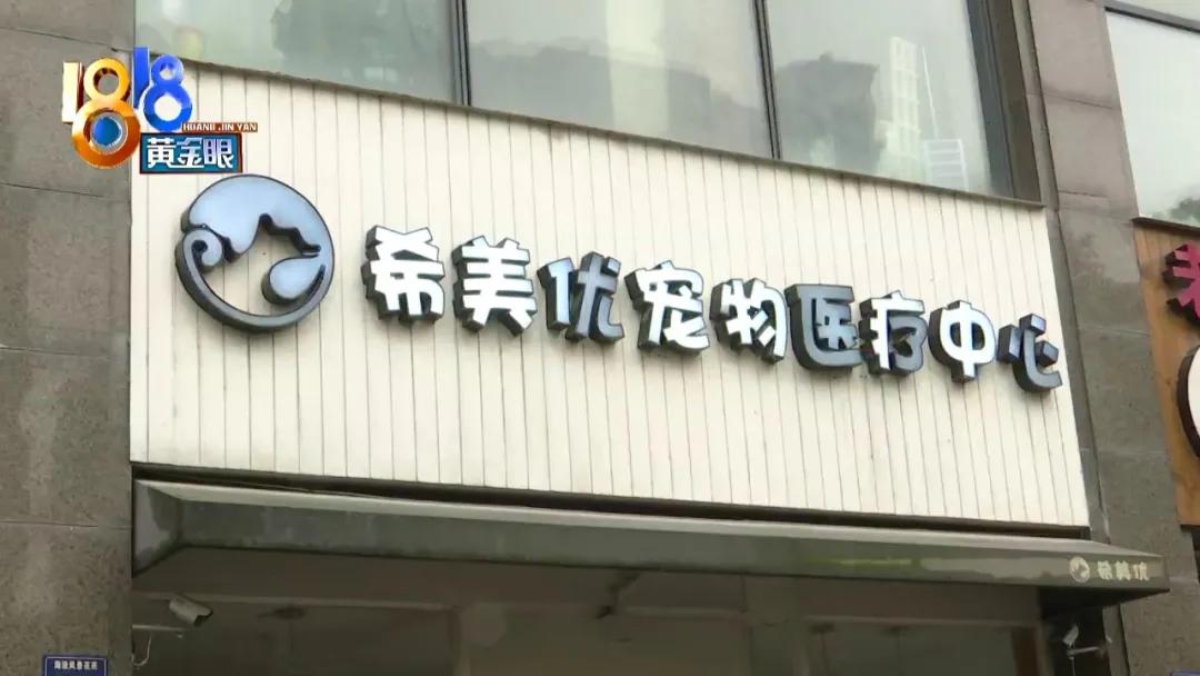 柯基犬突然呕吐是什么原因,柯基犬呕吐拉血是什么原因