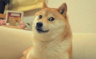 玩竞彩必须知道的十条干货知识,老司机竞彩足球推荐