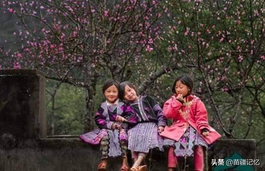 苗族女人早婚的痛苦,苗族早婚习俗