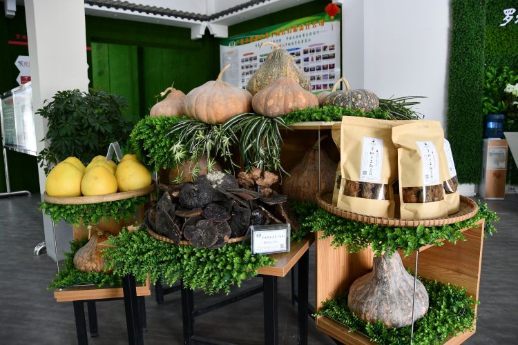 娣卞湷鐧捐壊娌虫睜鎵惰传鍗忎綔,娣卞湷鎵惰传娌虫睜