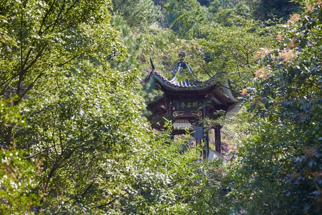 世界上最惊艳的咖啡,被称为小欧洲