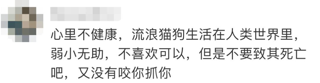 男子当街踢死小猫后续上海,小猫被小男孩虐待暴打