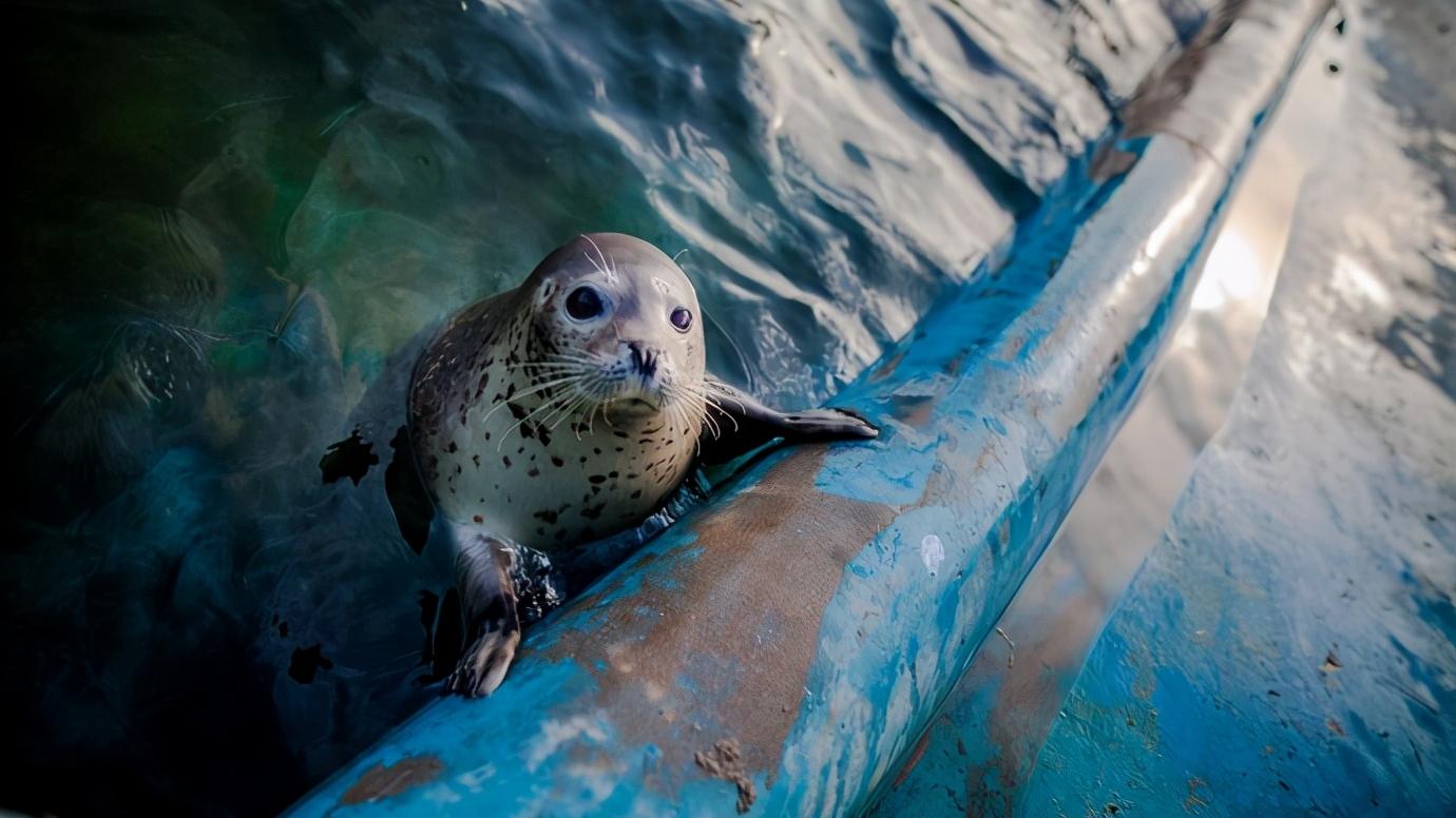 辽宁省大连市都有什么区,辽宁省大连市几个区