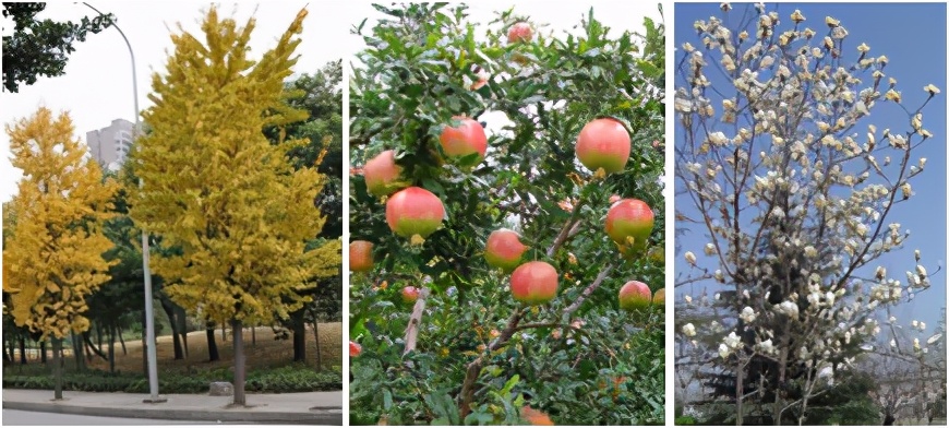 佛山市医院设计团队,山东医院设计效果