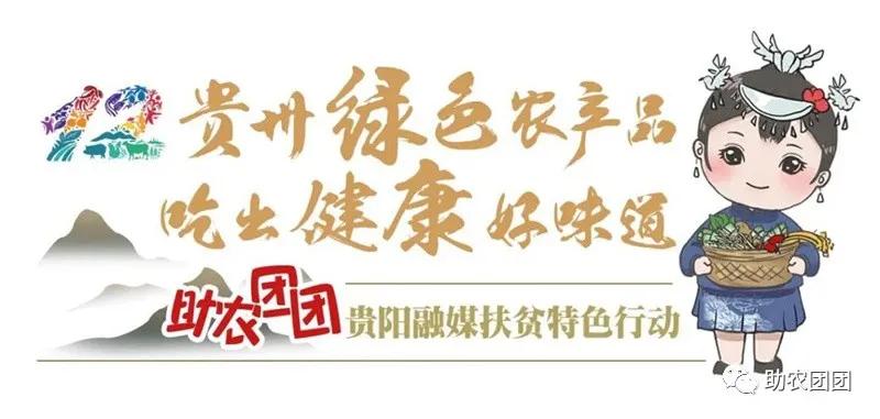 助农团团丨刺梨产业巡礼⑨：“刺梨上市，太医无事”，天然刺梨维C王