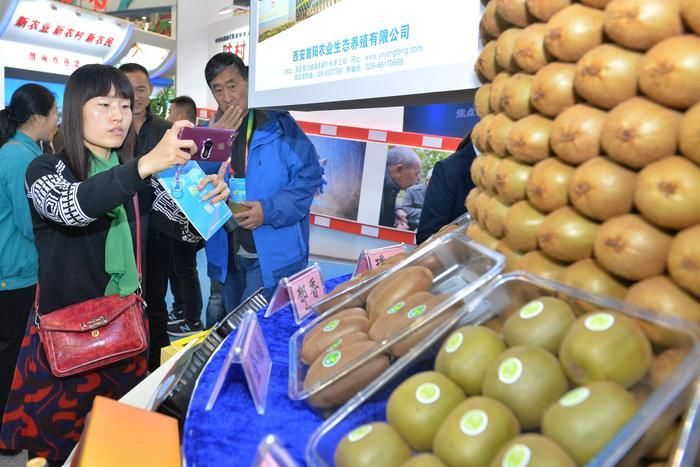 农高会展区展会亮点,今年杨凌农高会的亮点