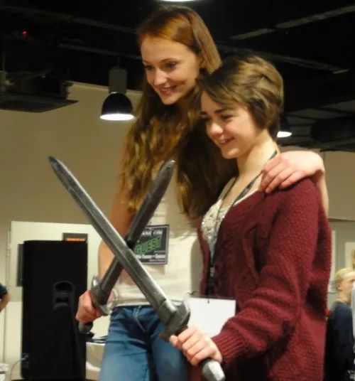 史塔克八年后的孩子,史塔克家几个孩子