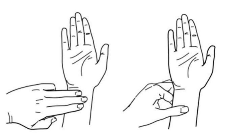 孕妇为什么会孕吐,关于孕吐的事件