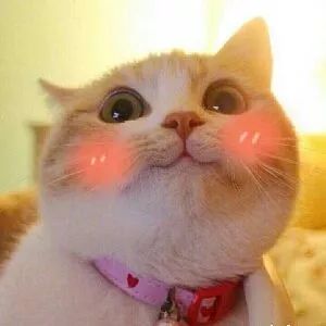 壕！徐州矿大这名90后校友给母校捐了1100万！原...