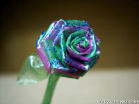 怎么拿吸管做成一朵小花,用吸管制作简易小花视频