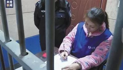 中国刑案解读,中国刑案排行榜