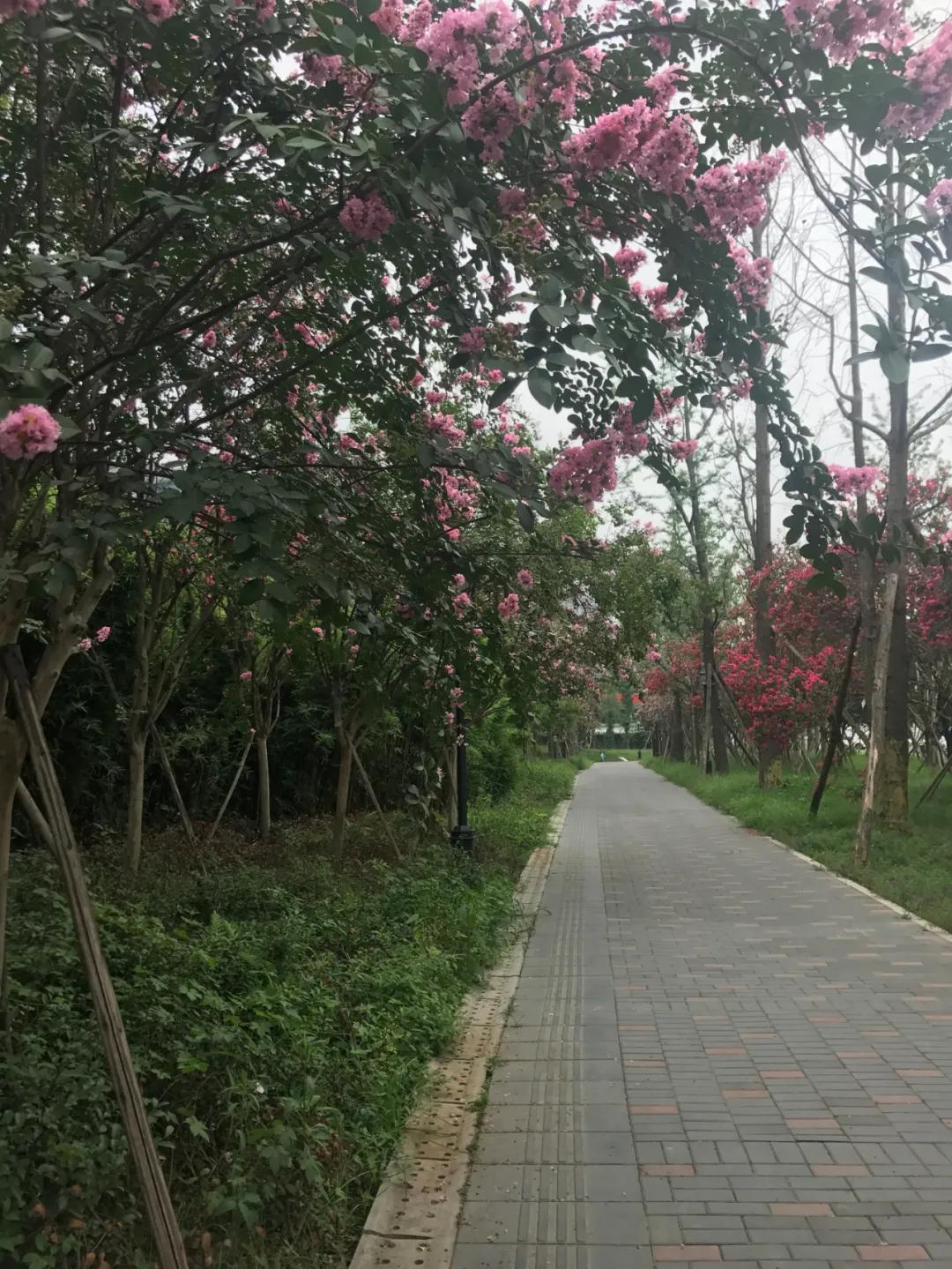 成都西三环金沙,西三环金沙板块