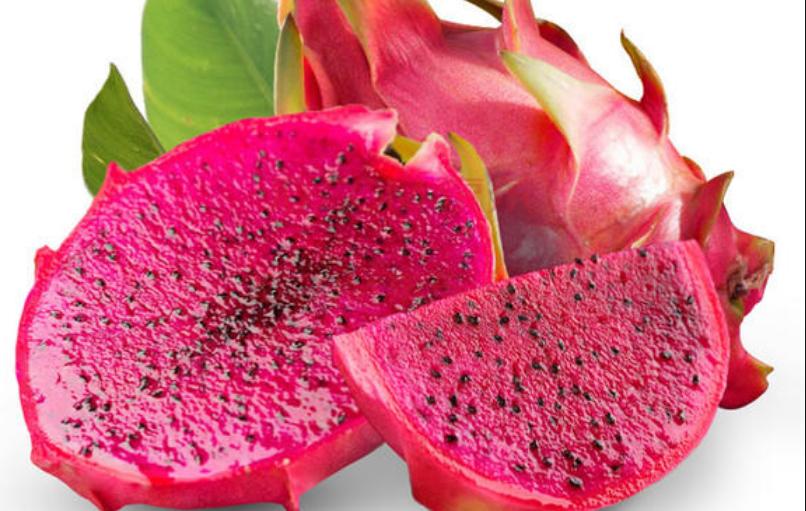 狗狗60天小便有血,狗狗尿尿没有血但是会流血