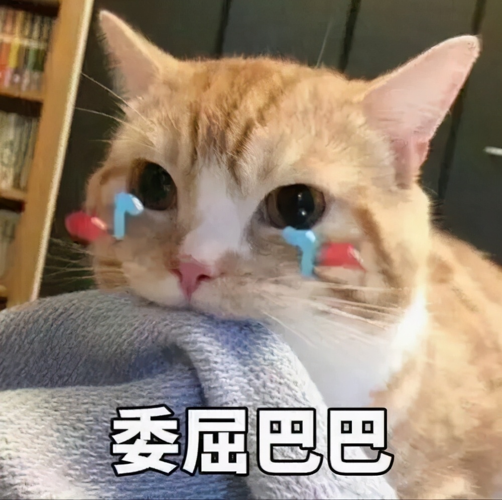 毛巾市场跨境卖家为学校捐赠2000万！原来用关键词找市场那么简单