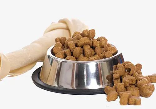 养宠经验狗狗掉毛超级严重怎么办,养宠小知识狗狗拉虫子还吐怎么办