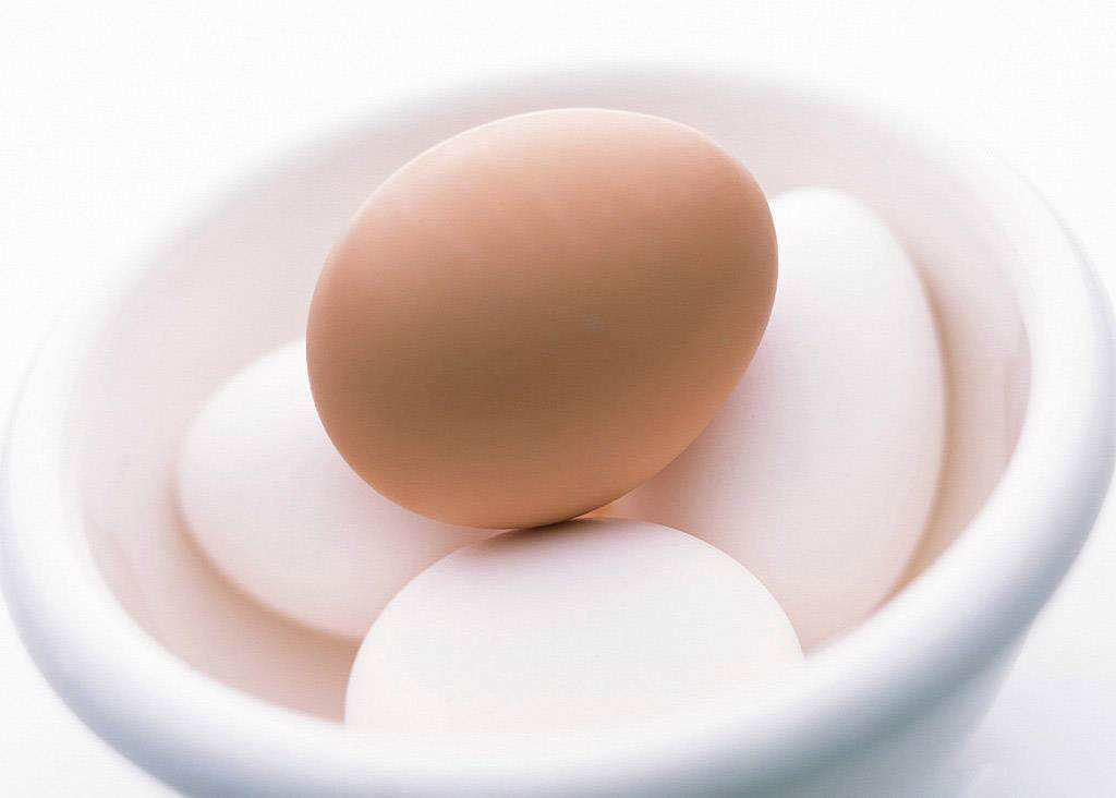 猫肾衰和磷元素摄入的关系是什么？又该如何限制磷元素？教你3点