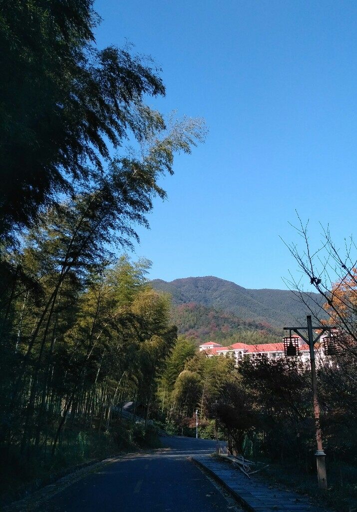 风景秀丽的宜兴竹海,漫步竹林呼吸大自然的清新