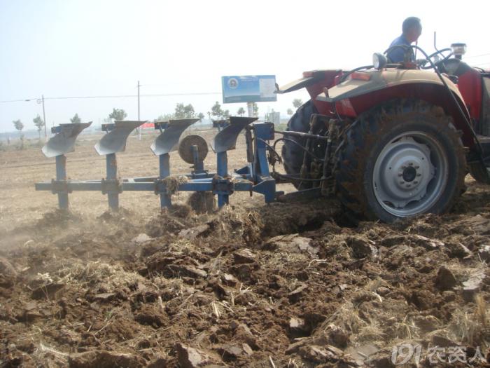 马铃薯主要栽培技术要点,马铃薯地膜覆盖高产栽培技术