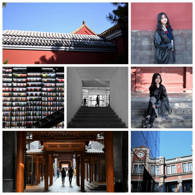 尼康Z50深度评测,尼康z50评测打鸟