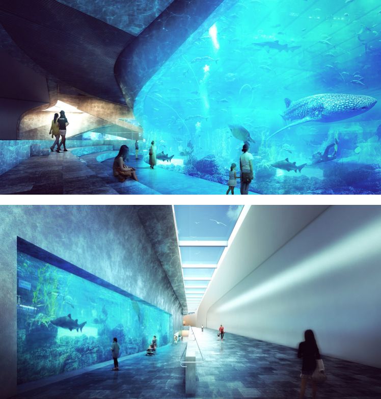 青岛海洋馆和海昌极地哪个好,青岛比极地海洋世界更好玩的地方